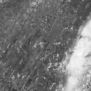 No_Music_Needed_Detail_2.jpg