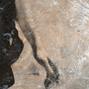 Paulette_Detail_2.jpg