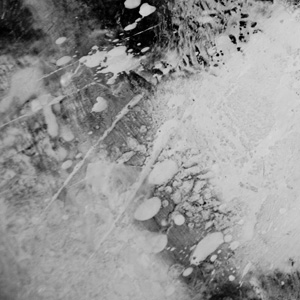 Snow_Dancer_detail_1.jpg