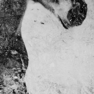 Snow_Dancer_detail_2.jpg