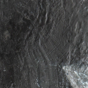 Talin_Detail_1.jpg