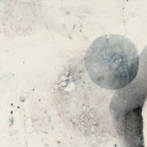 Tawny_Detail_1.jpg