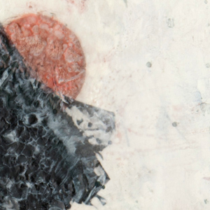 Tawny_Detail_2.jpg