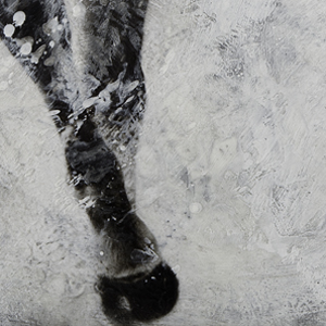 Wild_Abanon_Detail_2.jpg